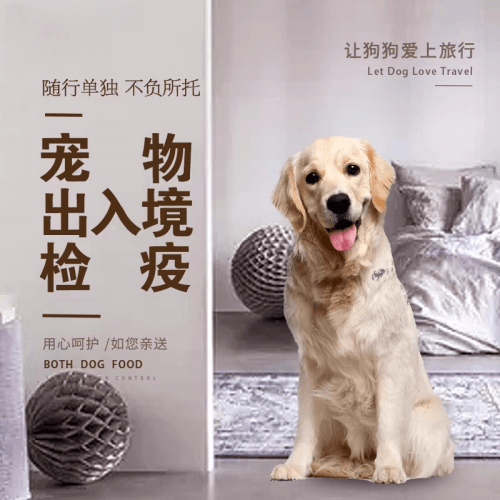 抚顺市宠物托运到哥伦比亚猫狗宠物入境规定和