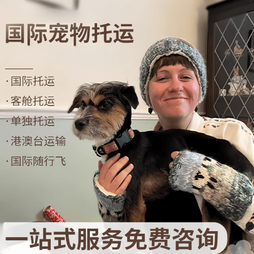 抚顺市国际宠物托运到阿根廷宠物入境规定和要