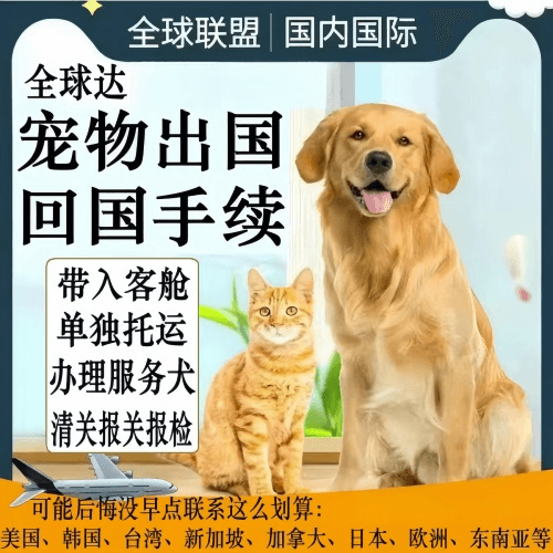 抚顺市宠物托运到柬埔寨宠物入境规定和要求