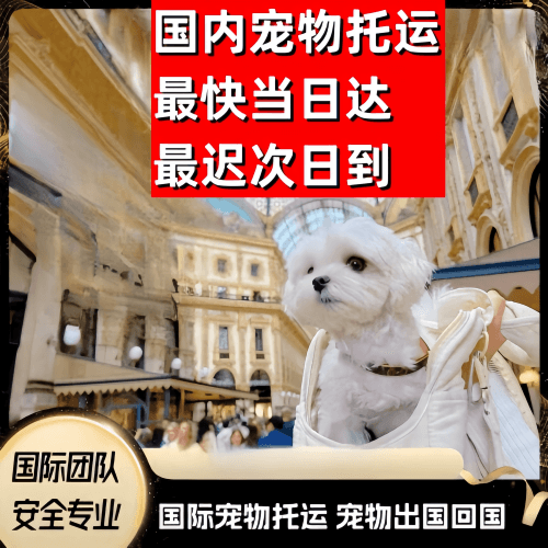 抚顺市到澳大利亚（澳洲）宠物入境规定和要求