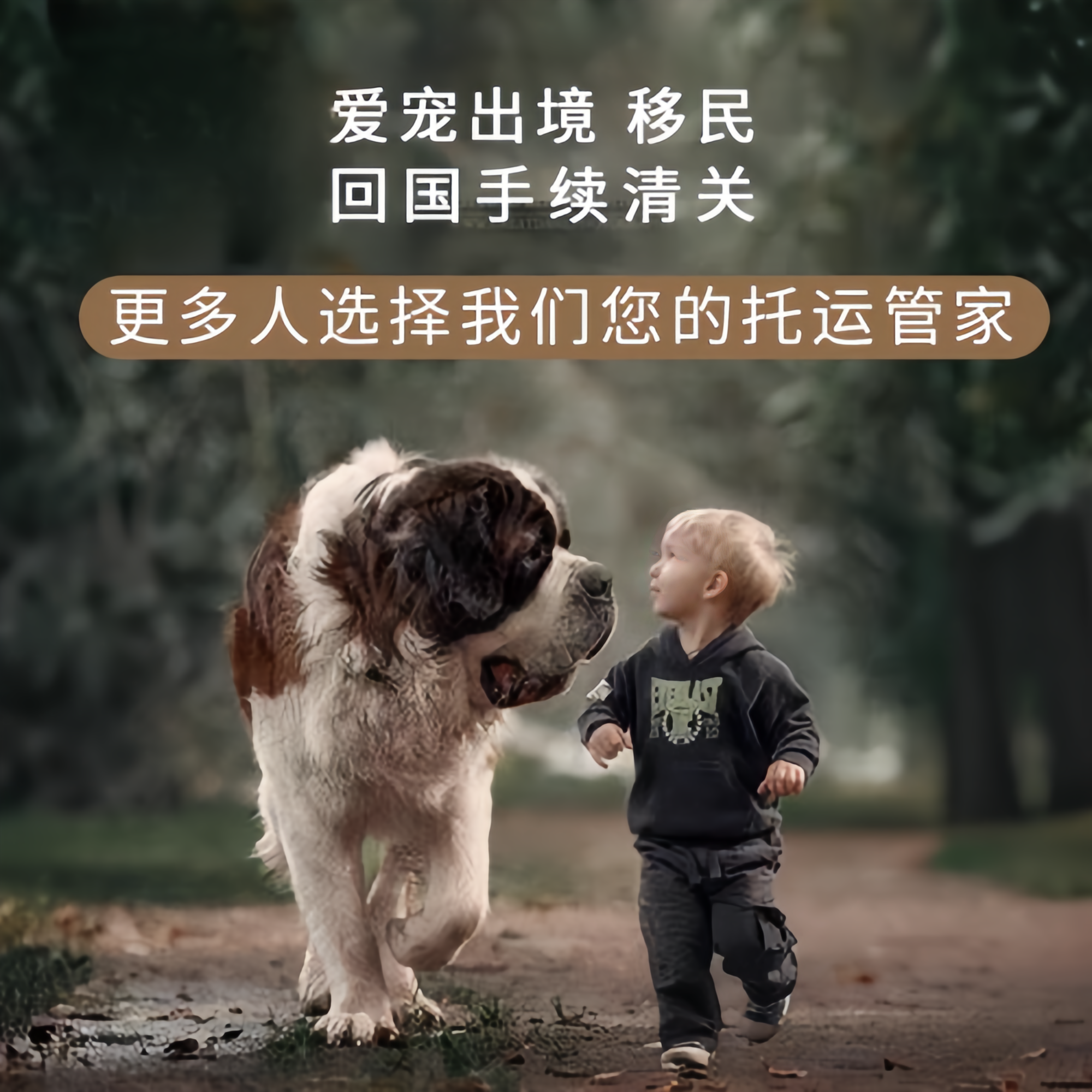 满财抚顺市宠物全球达宠物托运在遵守入境目的地政策的条件