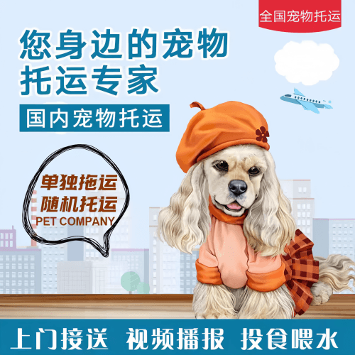 满财抚顺市宠物全球达宠物托运作为专业的宠物运输代理机构